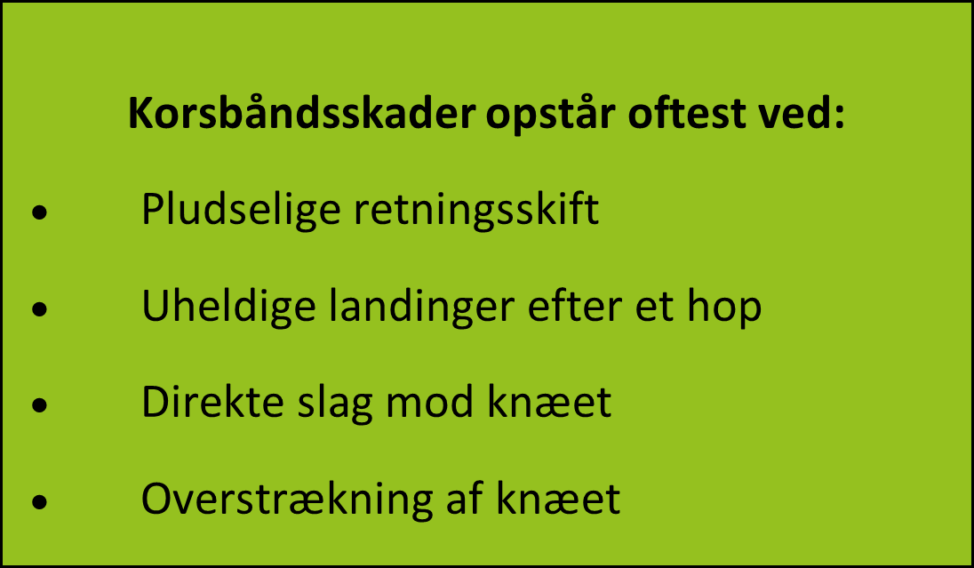 billeder-til-blog/korsbaandsskade/faktaboks_korsbaand.png