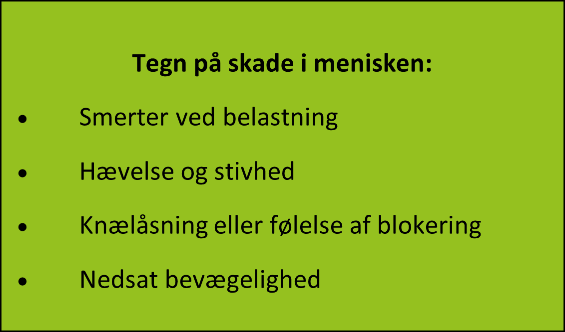 billeder-til-blog/meniskskade/faktaboks-menisk.png